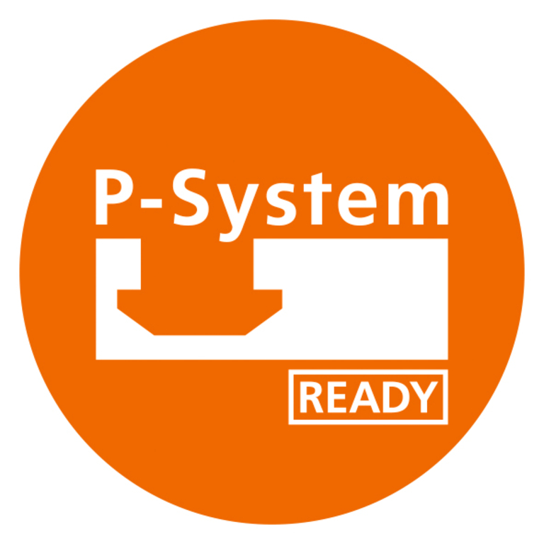 p-system